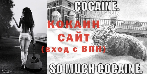 мдпв Бронницы