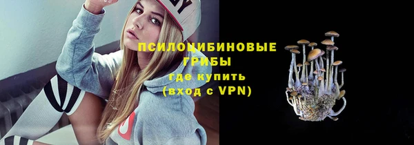 мдпв Бронницы