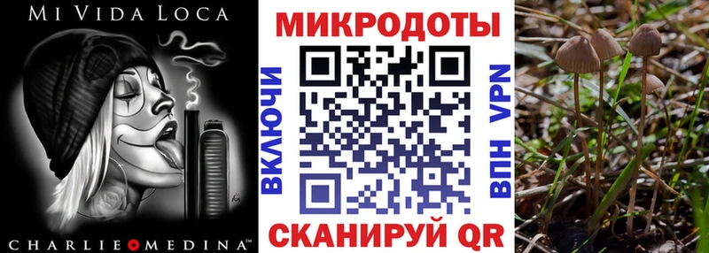 где купить наркоту Орехово-Зуево Галлюциногенные грибы прущие грибы